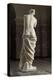 Aphrodite dite Vénus de Milo-null-Premier Image Canvas