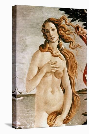 Aphrodite/Venus-Sandro Botticelli-Premier Image Canvas