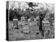 Apiary of Wooden Hives, Lismore, Ireland, 1890-null-Premier Image Canvas