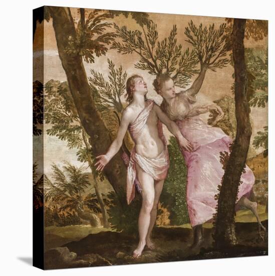 Apollo and Daphne, C.1560-65-Veronese-Premier Image Canvas