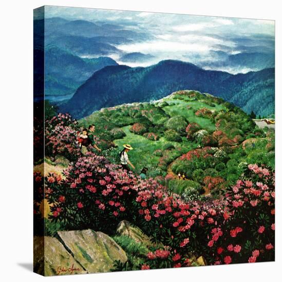 "Appalachian Rhododendrons," May 27, 1961-John Clymer-Premier Image Canvas