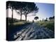 Appia Antica, Rome, Lazio, Italy, Europe-Woolfitt Adam-Premier Image Canvas