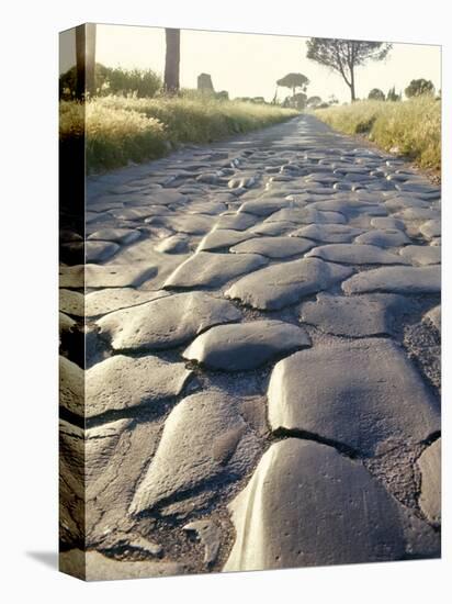 Appia Antica (The Appian Way), Rome, Lazio, Italy-Adam Woolfitt-Premier Image Canvas