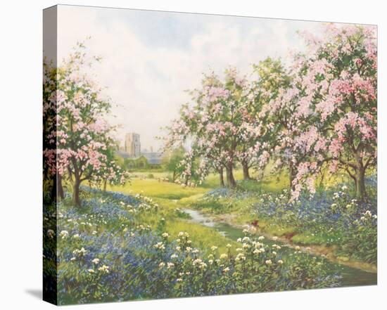 Apple Blossom and Bluebells-John Halford Ross-Stretched Canvas