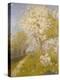 Apple Blossom at Dennemont, 1893-Charles Edward Conder-Premier Image Canvas