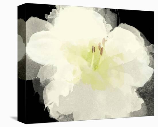 Apple Blossom Flower-Irena Orlov-Stretched Canvas