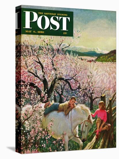 "Apple Blossom Time" Saturday Evening Post Cover, May 6, 1950-John Clymer-Premier Image Canvas