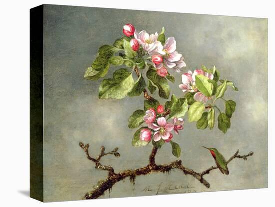 Apple Blossoms and a Hummingbird, 1875-Martin Johnson Heade-Premier Image Canvas