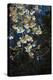 Apple Blossoms on Branches Hanging over Pond-Anna Miller-Premier Image Canvas