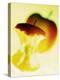 Apple Core-Jo Kirchherr-Premier Image Canvas