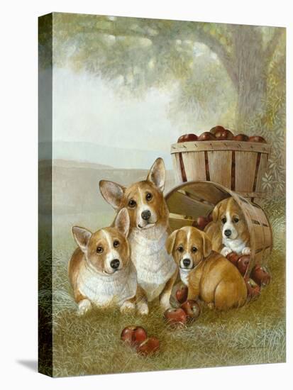 Apple Dumpling-Ruane Manning-Stretched Canvas