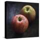 Apple Duo-Bill Philip-Stretched Canvas