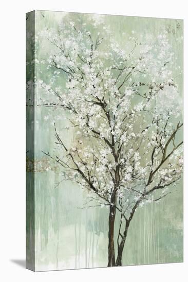 Apple Grove II-Allison Pearce-Stretched Canvas