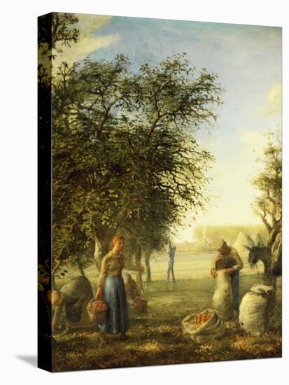 Apple Harvest-Jean-François Millet-Premier Image Canvas