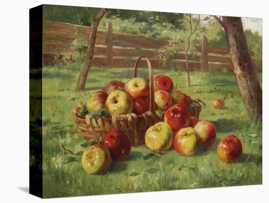 Apple Harvest-Karl Vikas-Premier Image Canvas