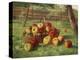 Apple Harvest-Karl Vikas-Premier Image Canvas