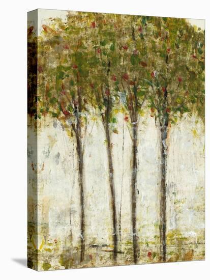 Apple Orchard II-Tim OToole-Stretched Canvas