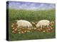 Apple-Sows-Ditz-Premier Image Canvas