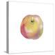 Apple Sweet-Kristine Hegre-Stretched Canvas