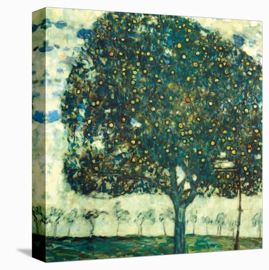 Apple Tree II, c.1916-Gustav Klimt-Stretched Canvas