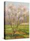 Apple Tree in Blossom, Pommiers en Fleurs-Henri Martin-Premier Image Canvas