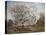 Apple Tree in Blossom-Carl Fredrik Hill-Premier Image Canvas