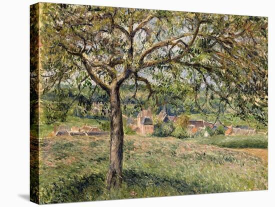 Apple Tree in Eragny, 1884-Camille Pissarro-Premier Image Canvas