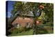 Apple-Tree with Ripe Apples in Front of a Farmhouse-Uwe Steffens-Premier Image Canvas