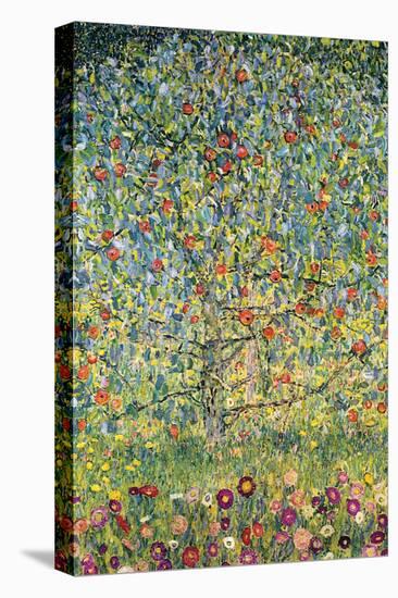 Apple Tree-Gustav Klimt-Stretched Canvas