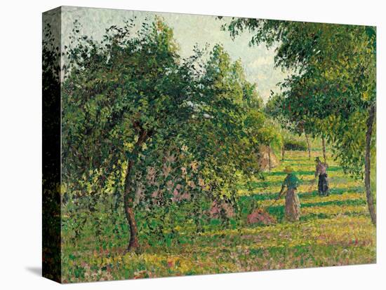 Apple Trees and Hay Makers at Eragny (Pommiers et Faneuses, Eragny). 1895-Camille Pissarro-Premier Image Canvas