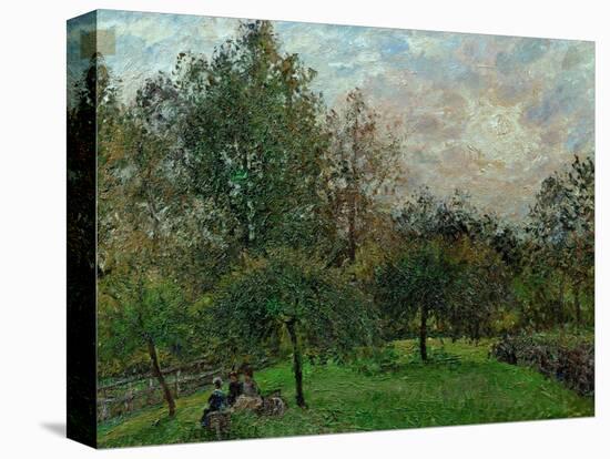 Apple Trees and Poplars in a Sunset, 1901-Camille Pissarro-Premier Image Canvas