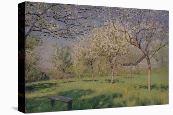 Apple Trees Blooming, C. 1895-Isaak Ilyich Levitan-Premier Image Canvas