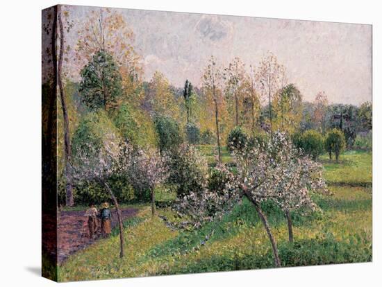 Apple Trees in Blossom, Eragny, 1895-Camille Pissarro-Premier Image Canvas