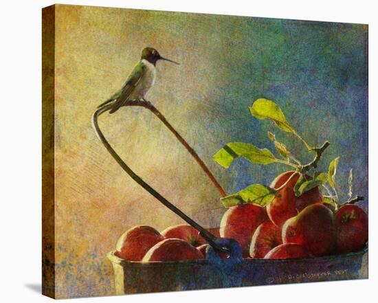 Apples and Hummer-Chris Vest-Stretched Canvas