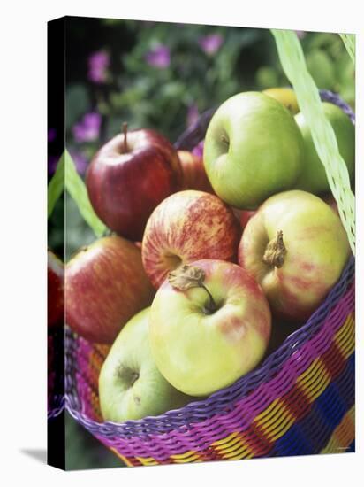 Apples (Granny Smith and Gala) in a Basket-Linda Burgess-Premier Image Canvas