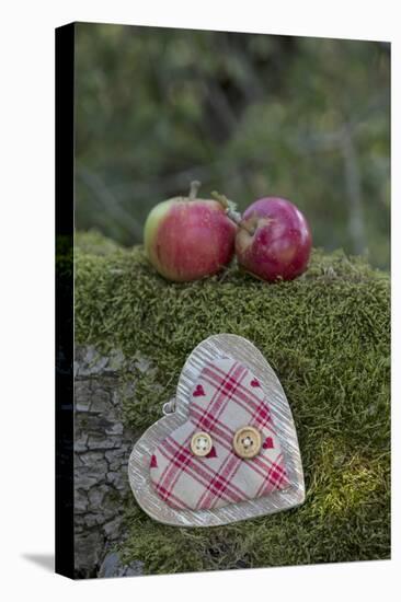 Apples, Two, Heart, Tree Trunk, Moss-Andrea Haase-Premier Image Canvas