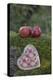Apples, Two, Heart, Tree Trunk, Moss-Andrea Haase-Premier Image Canvas