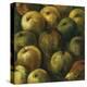 Apples-O'Flannery-Stretched Canvas