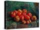 Apples-Vincent van Gogh-Premier Image Canvas