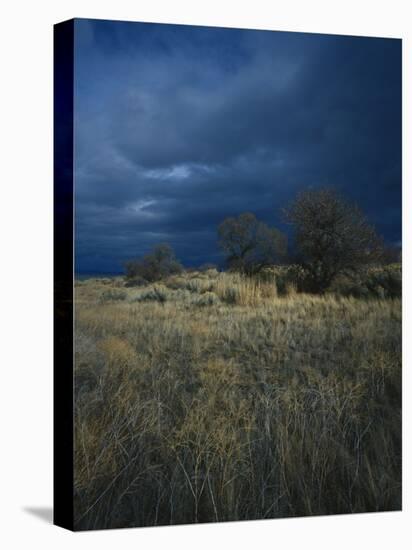 Approaching Storm in Desert, Lava Beds National Monument, California, USA-Paul Souders-Premier Image Canvas