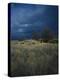 Approaching Storm in Desert, Lava Beds National Monument, California, USA-Paul Souders-Premier Image Canvas