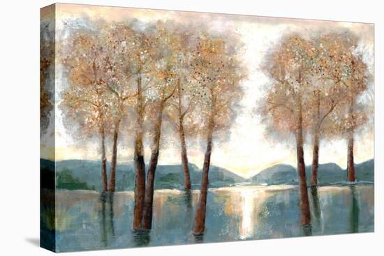 Approaching Woods-Doris Charest-Stretched Canvas