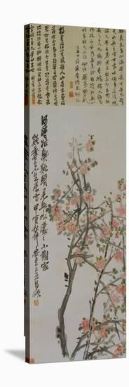 Apricot Blossoms-Wu Changshuo-Premier Image Canvas