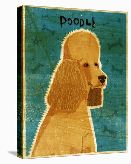 Apricot Poodle-John W Golden-Stretched Canvas