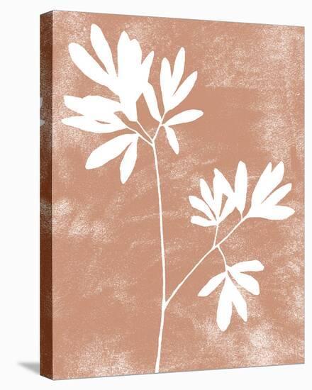 Apricot Silhouette - Bloom-Kristine Hegre-Stretched Canvas