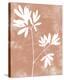 Apricot Silhouette - Bloom-Kristine Hegre-Stretched Canvas