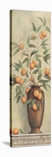 Apricotier-Daphne Brissonnet-Stretched Canvas