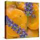 Apricots with Lavender, Detail-C. Nidhoff-Lang-Premier Image Canvas