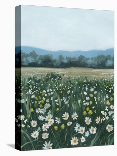 April Flowerfield II-Grace Popp-Stretched Canvas