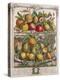 April, from 'Twelve Months of Fruits', by Robert Furber-Pieter Casteels-Premier Image Canvas